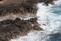 10Oahu - 38